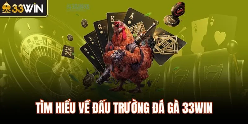 Tìm hiểu về đấu trường đá gà 33WIN
