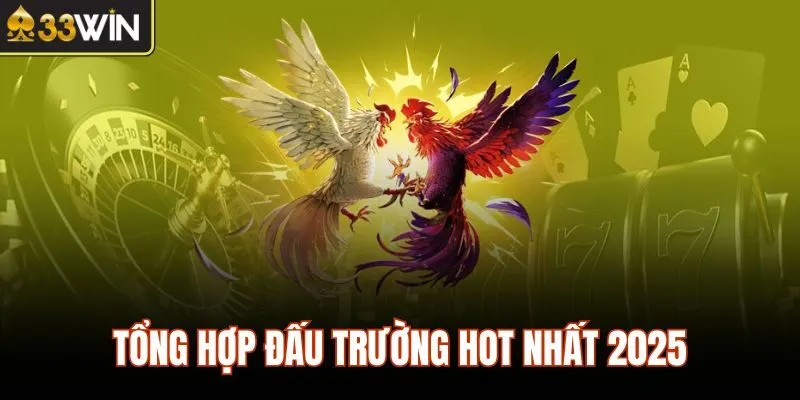 Tổng hợp đấu trường hot nhất 2025