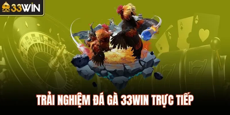 Trải nghiệm đá gà 33WIN trực tiếp